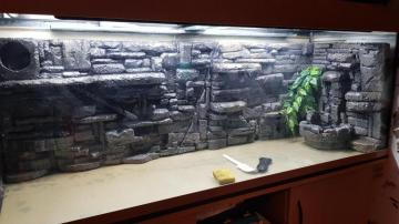 Homemade Terrarium Aquarium Background Took Me About Hours
