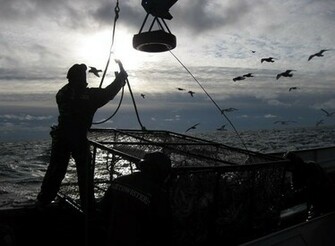 Deadliest Catch Wallpaper Weddingdressin