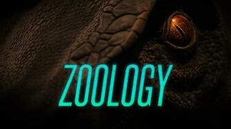 Steam Workshop Kara S Zoology Server
