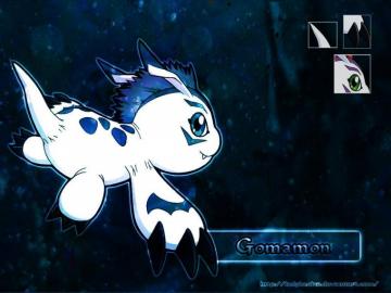 Gomamon Wallpaper By Ladybeelze