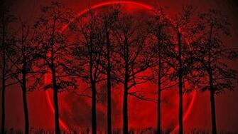 Silhouette Of Trees With Blood Moon Background HD Wallpaper