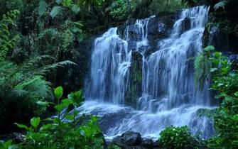 HD Beautiful Natural Wallpaper HD2015