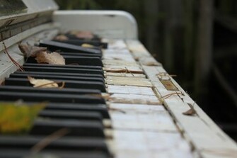 Old Musical Instrument Pictures Prime Wallpaper