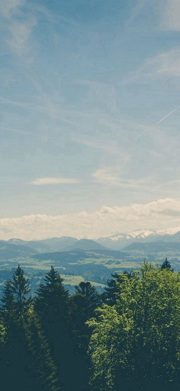 Green Land Sky Blue Summer Nature iPhone Wallpaper