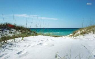 White Sanded Beach In Florida Wallpaper