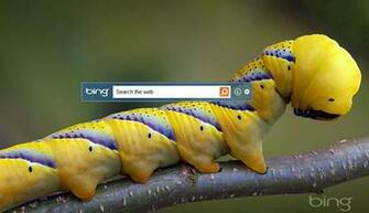 Change The Wallpaper Daily Bing Desktop