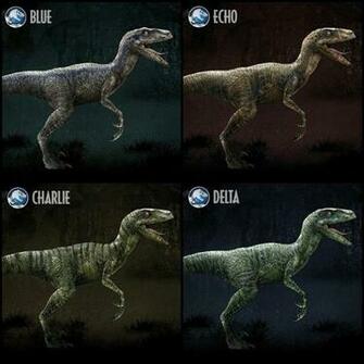 Jurassic World Raptor Differences By Winterstormwolf96