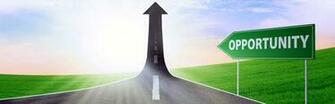 The Next Steps