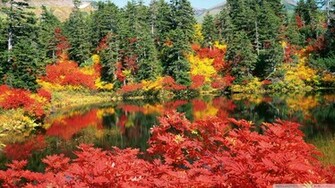 Autumn Japan Wallpaper
