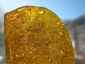 Golden Tiger Bho Crumble Uk Bud Max Weed
