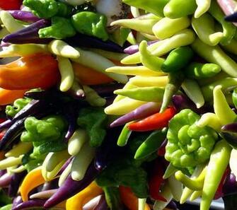 Food Vegetables Wallpaper Sc Smartphone
