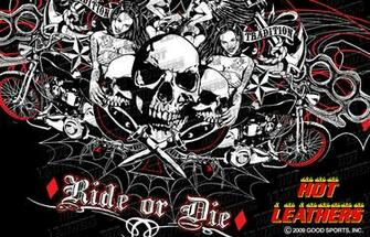 Harley Davidson Skull Logo Wallpaper Motorcycles Gallerys