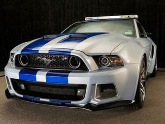 Shelby Jpg