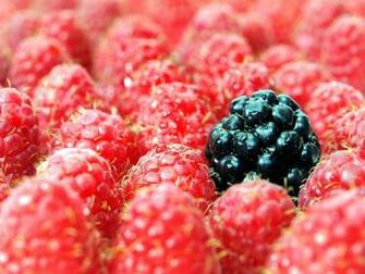 Berries Raspberries Blackberries Close Up Stock Photos