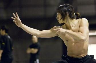 Ninja Assassin Martial Arts Action Thriller Crime Fighting