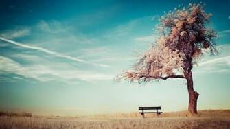 Serene Wallpaper Super Background HD