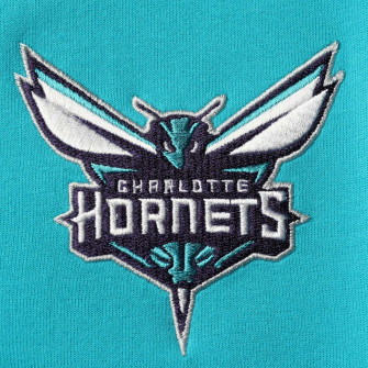 Youth Charlotte Hornets Nike Teal Logo Showtime Performance Full