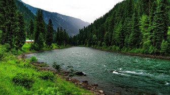 River In The Mountain Forest
