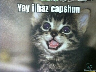 Lolcats Background Wallpaper