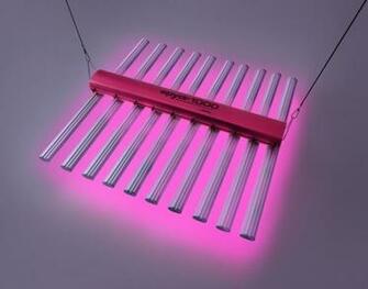 Image Led Plant Grow Lights Pc Android iPhone And iPad Wallpaper