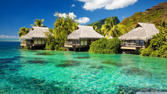 Of Tropical 4k Wallpaper For Your Desktop Or Mobile Screen