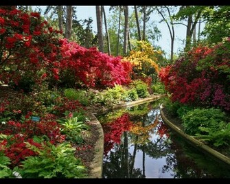 Definition Wallpaper Photo Spring Html