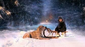 Holidays Christmas Winter Snow Seasons Seasonal Roads Snowing
