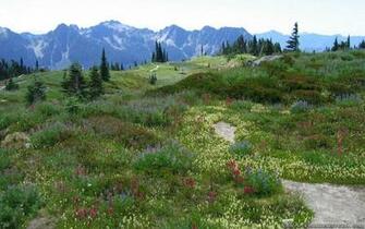 HD Wallpaper Alps Mountains Spring Season Flowers By