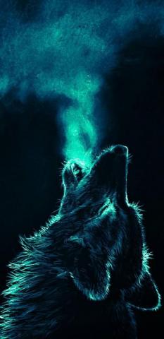 Laden Sie Wolf Wallpaper Von Bolito9312 Auf Zedge