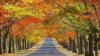 Beautiful Autumn Season Wallpaper HD Nice
