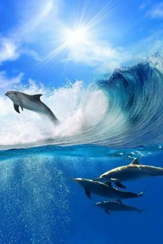 Surfing iPhone 4s Wallpaper iPad