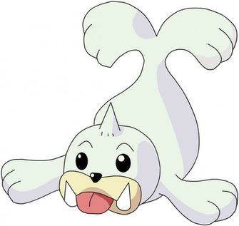 Seel Full HD Pictures