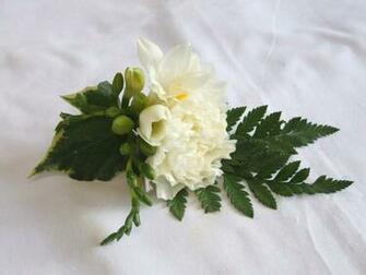 White Carnation Wallpaper