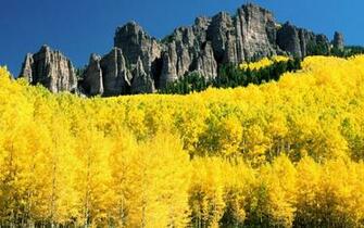 Aspen Colorad Pixels Wallpaper Tagged Forest Landscape