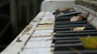 Old Piano Keyboard Wallpaper Photography