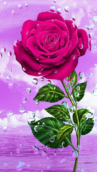La Mia Raccolta Gif Wallpaper Nature Flowers Pink