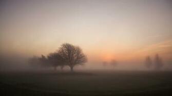 Foggy Morning Sunrise Desktop Pc And Mac Wallpaper