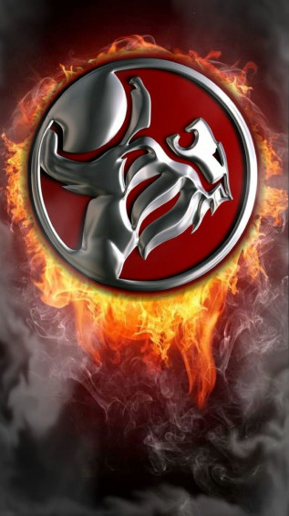 Holden Hq Lions Team