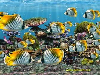 3d Screensaver And Wallpaper With Auriga Butterflyfish