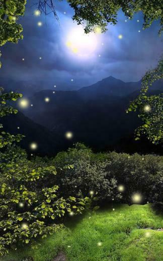 Fireflies Live Wallpaper Android Apps On Google Play