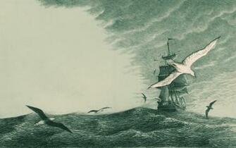 To The Pursuit Of Moby Dick HD Desktop Wallpaper