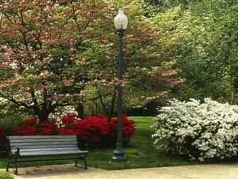 Imelda Mcconnell Central Park Background