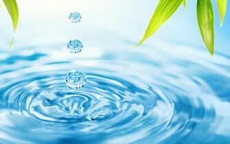 Water Drops Fresh Wallpaper HD Wallpaperlepi