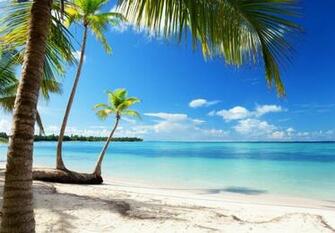 Meer Strand Karibik Wallpaper Hot Places To Get Married