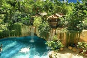 Tropical Rainforest Wallpaper