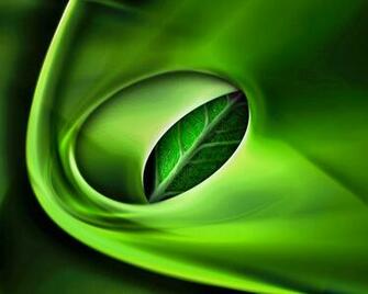 Wallpaper Picture Image Islamic Information English And