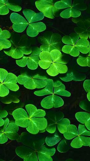 St Patty S Day iPhone Background
