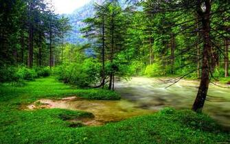 Rapid River HD Desktop Wallpaper