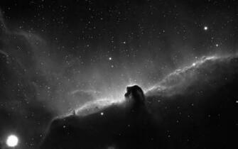 Horsehead Nebula Wallpaper