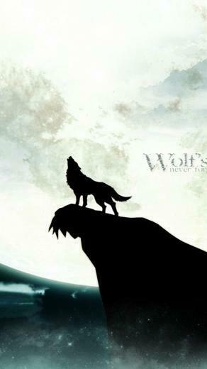 iPhone Wallpaper HD Wolf Background